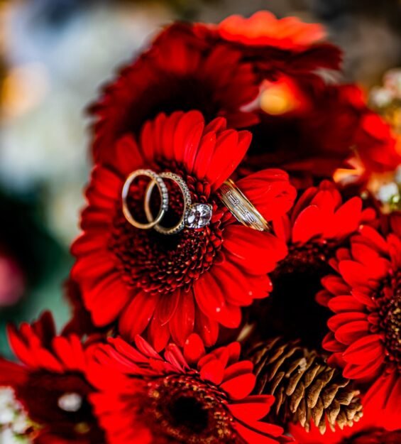 b8cbef470b164230817aa5f9b20d5f90