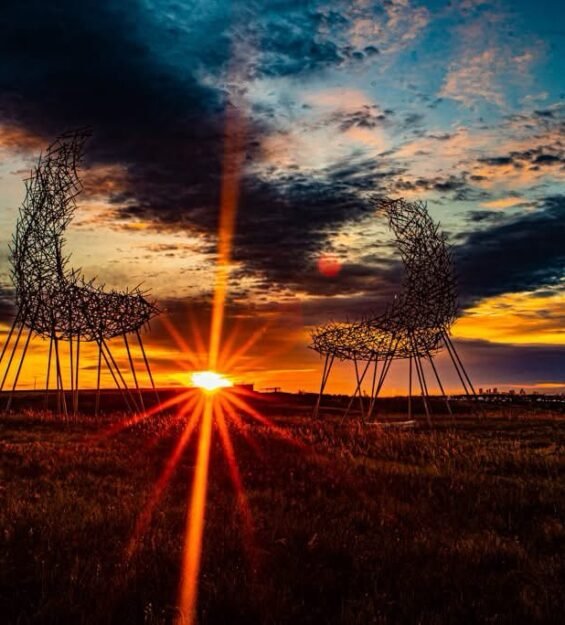 76a6ab061af34fdba757300288348d4f